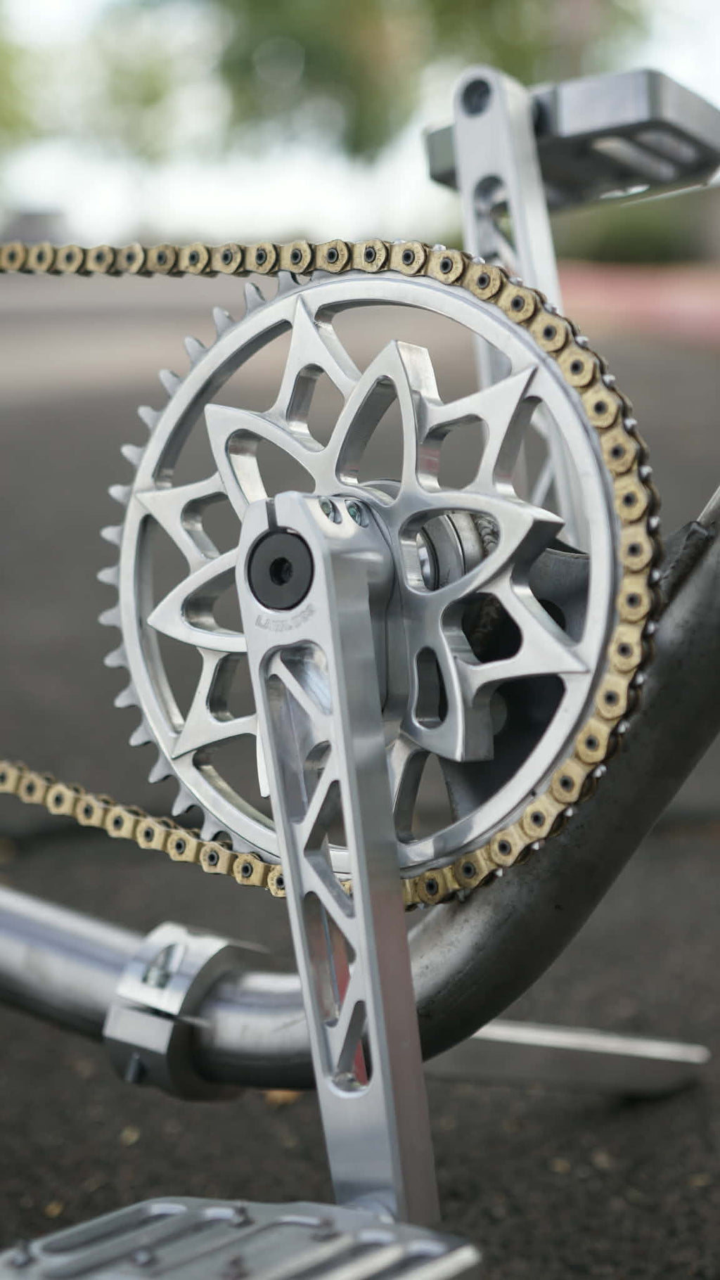 Lawless Nightshade Spocket